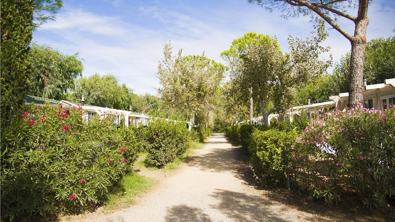 Helloocamp Marina Di Bibbona